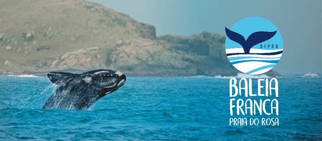 Grupo Baleia Franca Praia do Rosa comemora a chegada das baleias em Santa Catarina e abre temporada 2019